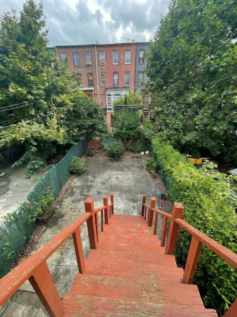 After: cleared backyard