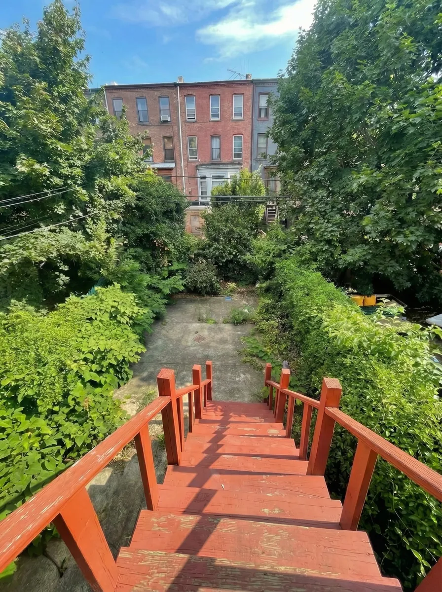 Before: overgrown backyard