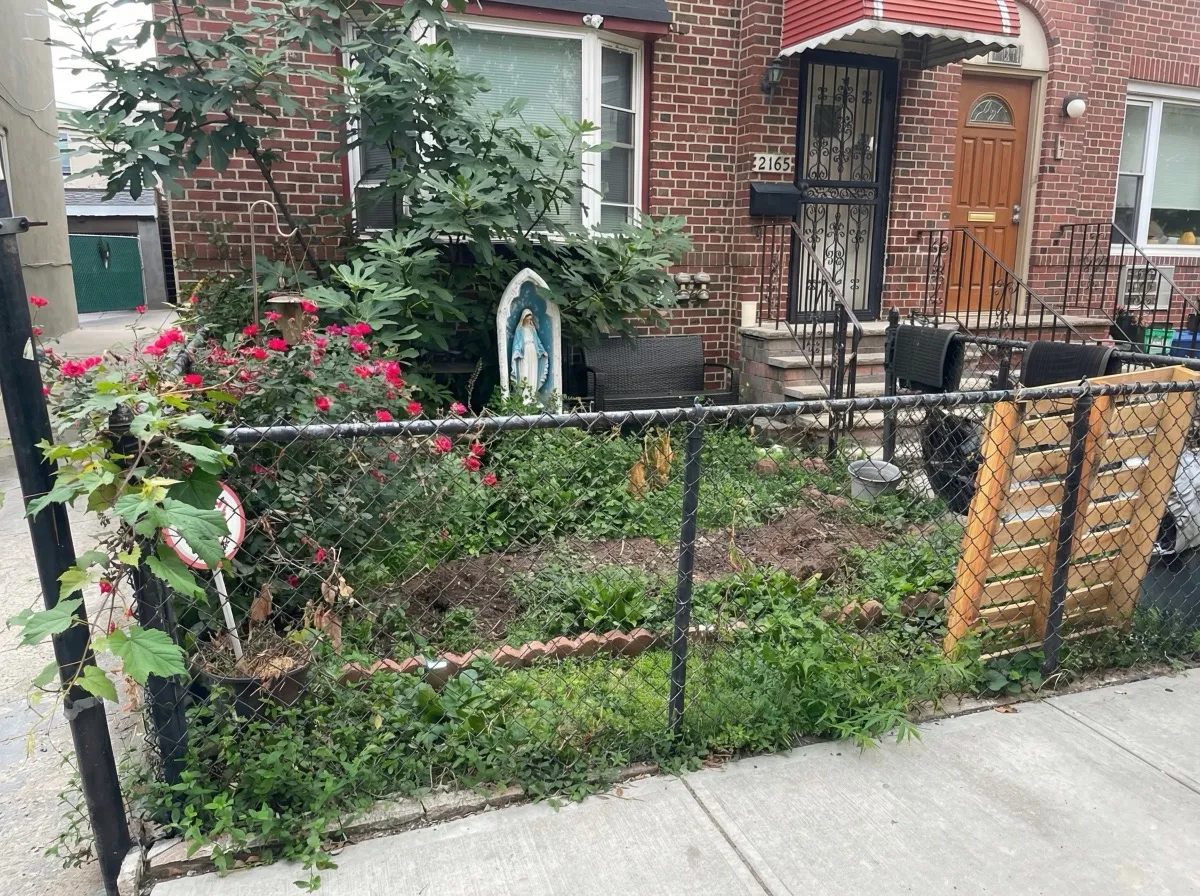 Before: overgrown front yard